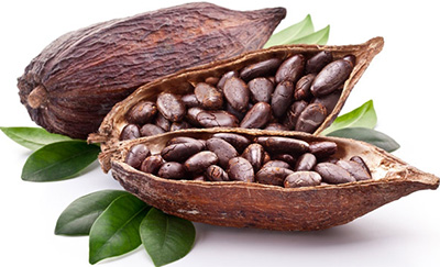 Cocoa-Bean-Chocolate