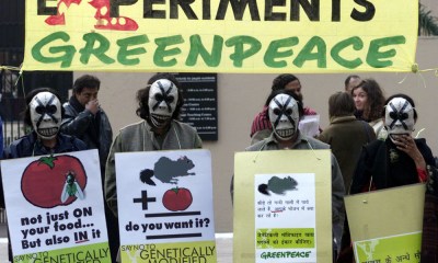 evu4p0wwtp0gc7sz21a7