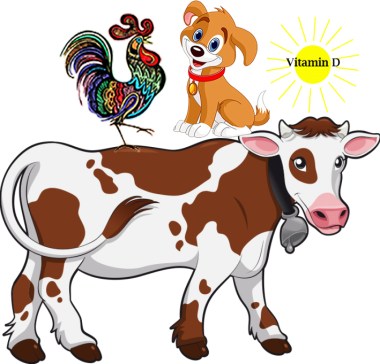 cow-rooster-dog