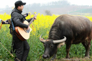 01300543311509144035096787560_s