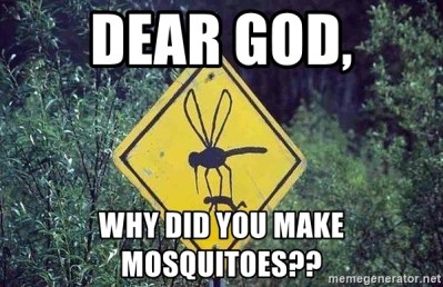 dear-god-why-did-you-make-mosquitoes