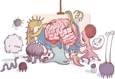 gutbrain-connectionfinal_wide-cb9feac5f39d9f01a5c02737cda2ac48541b2929-s800-c85